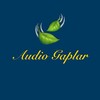 Telegram channel Audio gaplar | 🫀 logo