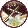 Логотип телеграм канала @audiobible_victoryplan — Аудио Библия по "Плану Победы" Джеймса Маккивера