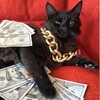 Логотип телеграм канала @audiodollar — Бизнес Подкасты 🎙️ БП
