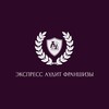 Логотип телеграм канала @audit_franshiz — Экспресс аудит франшизы