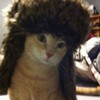 Логотип телеграм канала @audllley — аудлей вещает