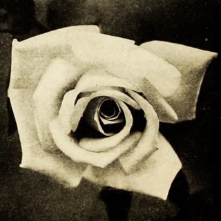 Logo des Telegrammkanals aufkleber_zum_ausdrucken - Aufkleber