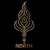 Логотип телеграм канала @aunt_north — Перевод от тети Норт
