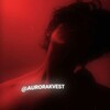 Логотип телеграм канала @aurorakvest — Страшные переписки