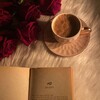 Логотип телеграм канала @auroshmin — Aurora