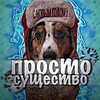 Логотип телеграм канала @aussie_laimaa — Просто существо❄️☃️