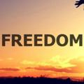 Telegram kanalining logotibi australiaforfreedom — Australiaforfreedom