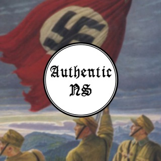 Логотип телеграм канала @authns — Authentic NS Link