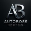 Telegram channel AUTOBOSS🛞DV logo