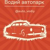 Логотип телеграм канала @auto_vodiy — Водий автопарк
