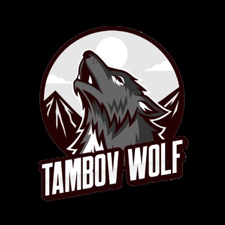 Логотип телеграм канала @autocentertw — Автоцентр «Тамбовский волк» Автозапчасти автосервис Чебоксары
