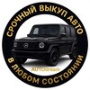 Логотип телеграм канала @autodream48 — AUTOdream