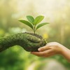 Логотип телеграм канала @autonomous_plants — Самостоятельные растения 🪴 Они растут без тебя