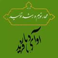 Logo saluran telegram avafarid — آوا فرید