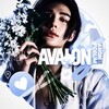 Логотип телеграм канала @avalonsforum — AVALON