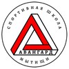Логотип телеграм канала @avangard_mt — МАУ ДО «Спортивная школа «Авангард»