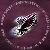 Логотип телеграм канала @avangardoglavnom — Авангард | О главном🦅