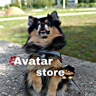 Логотип телеграм канала @avatarsstoree — Avatar.store