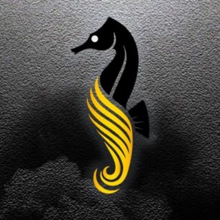 Logo saluran telegram avax_krd — AVAX_KRASNODAR