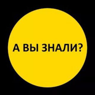 Логотип телеграм канала @avi_znali_chto — Взрывные факты