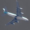 Telegram kanalining logotibi aviakassa_flyevrika — Fly Evrika🇺🇿