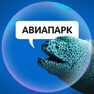 Логотип телеграм канала @aviaparkmsk — Мурена Настя