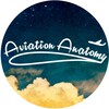 Логотип телеграм канала @aviationanatomy — Анатомия Авиации