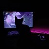 Логотип телеграм канала @avidlatg777 — авы для тг