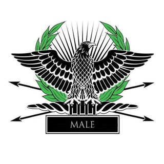 Логотип телеграм канала @aviva_md — Мужское Движение