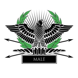 Логотип телеграм канала @aviva_md — Мужское Движение