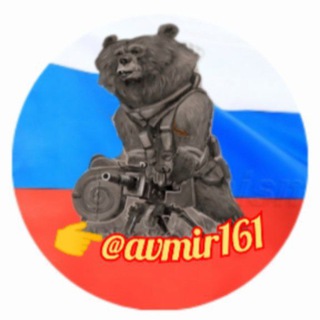 Логотип телеграм канала @avmir161 — Эхо новой войны
