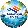 Логотип телеграм канала @avn_gr — Avangard group