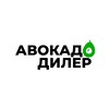 Логотип телеграм канала @avocadodealer — АВОКАДОДИЛЕР | AVOCADODEALER | СПЕЛЫЕ АВОКАДО С ГАРАНТИЕЙ