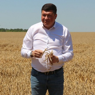 Логотип телеграм канала @avpaliy76 — Андрей Палий