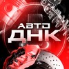 Логотип телеграм канала @avto_dnk_rf — Авто ДНК канал интернет- магазина