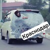 Логотип телеграм канала @avto_mobil_kr — Автомобильный Краснодар | Новости Краснодара и Кубани | Авто новости