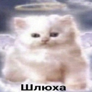 Логотип телеграм канала @avtorsdoxx — avtorsdoxx