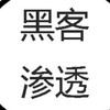 电报频道的标志 awdjahvsdj — 渗透黑客提权拿站NDS劫持