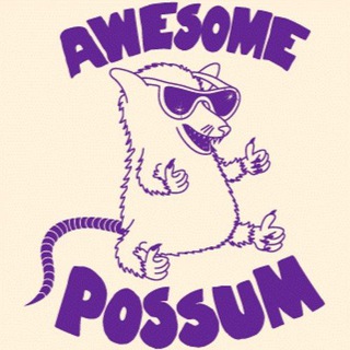 Logo of telegram channel awesome_possum — Awesome Possum Hits📻