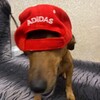 Логотип телеграм канала @awesomso2 — Awesom?🪽