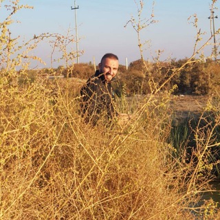 لوگوی کانال تلگرام ayadalderawy — الشاعر اياد الديراوي