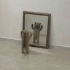 Логотип телеграм канала @aygum0v — aygum0v