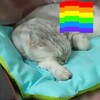 Логотип телеграм канала @ayna_blog — Блог Айны 🏳️‍🌈