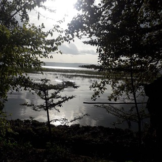 Logo de la chaîne télégraphique aynafaruanegn - #Life💞💝