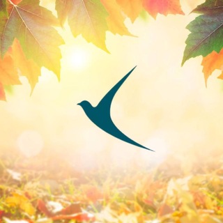Telegram channel Ayol-qizlarga ma'naviy ko'mak logo