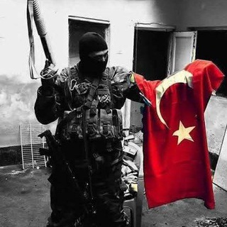 Telgraf kanalının logosu ayyildizarmy — Ayyıldız Army