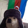 Logo of telegram channel azerbaycanp — cute Azerbaijani doggo