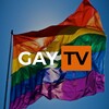 Logo of telegram channel azerigaytv — Gay TV
