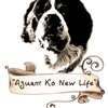 Логотип телеграм канала @aziat_new_life — Aziat_new_life