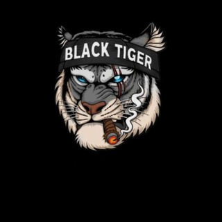 Logo saluran telegram b_52bbr — BLACK TIGER VPN